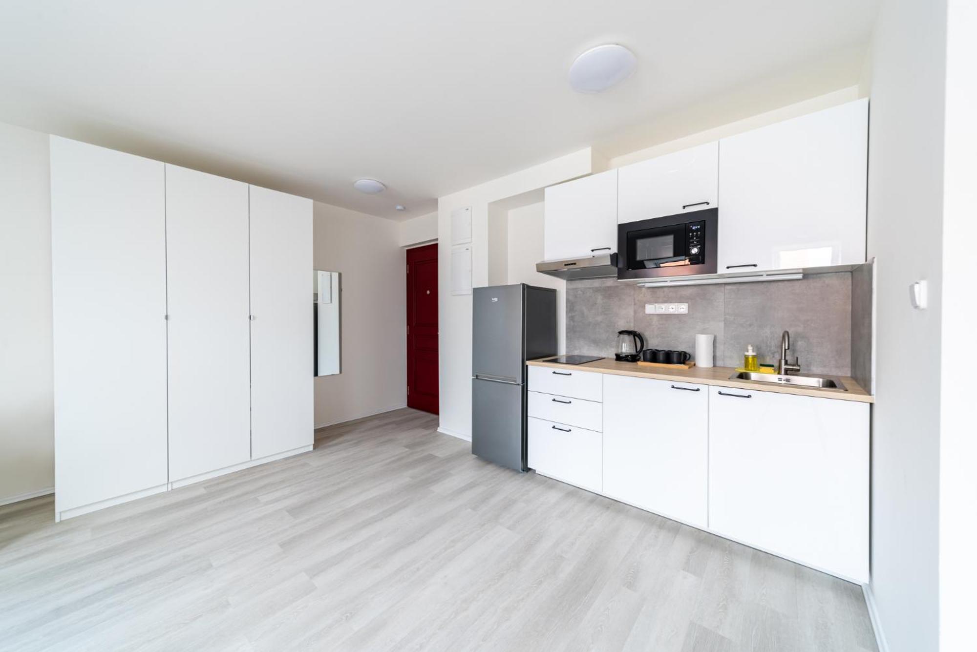 Apartments Borivojova 63 布拉格 外观 照片